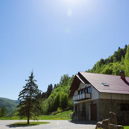 Kamyanka Villa Yaremche Eksteriør billede
